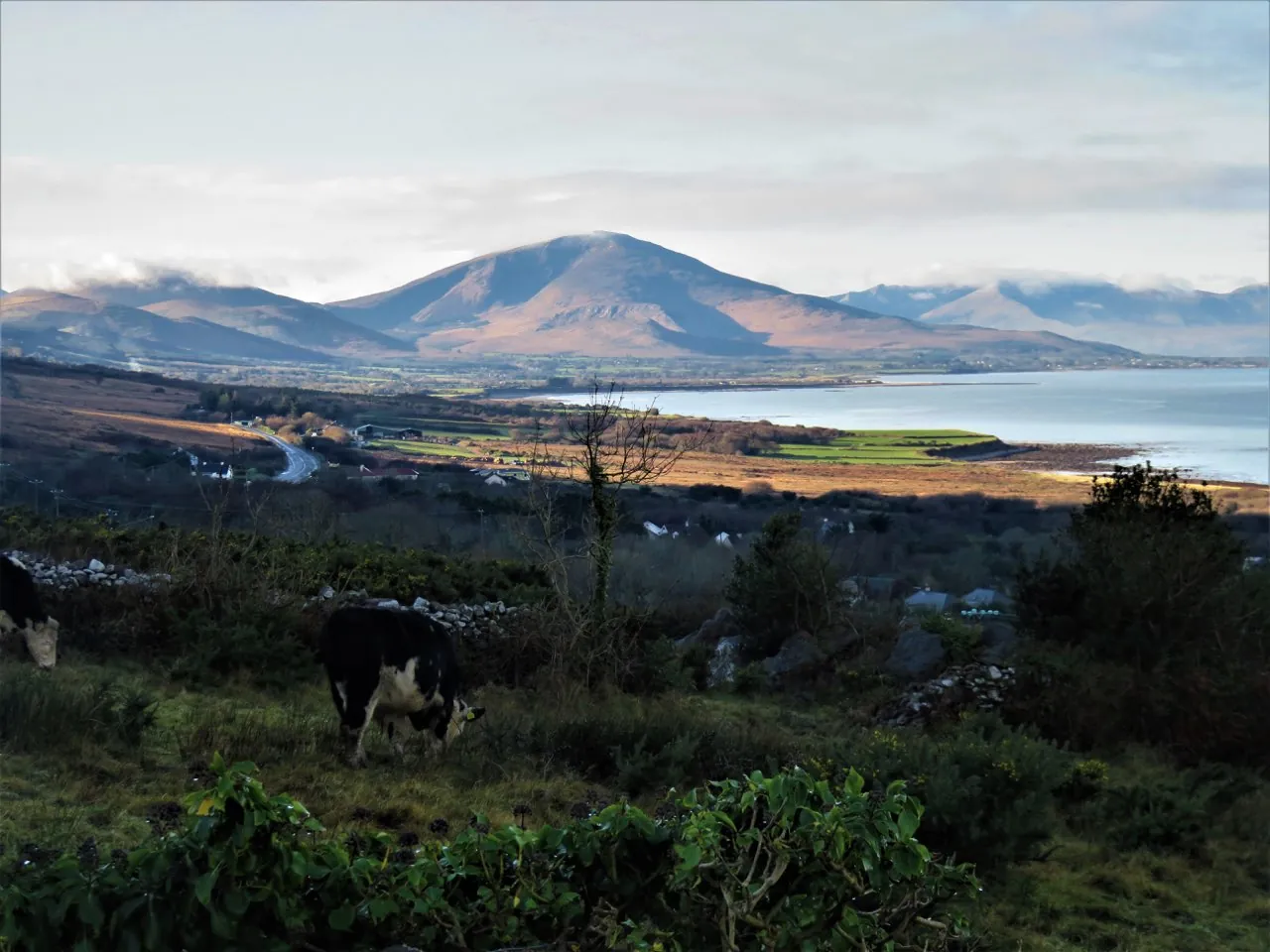 View from Killelton toward Beenoskee and Mount Brandon