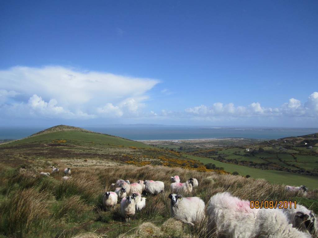 The green landscape of Gleann na nGealt